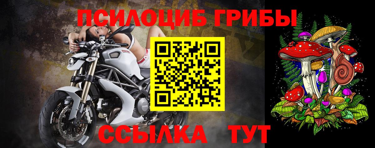 Галлюциногенные грибы ЛСД Рубцовск