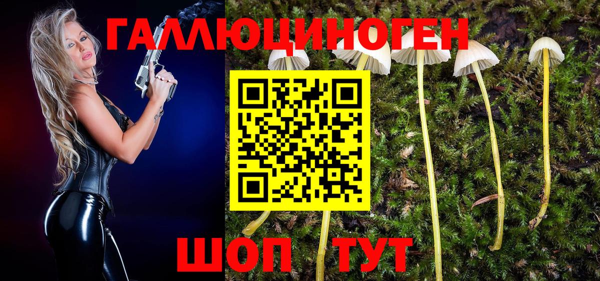 Рубцовск  Галлюциногенные грибы мухоморы  купить закладку  Вход с VPN  Галлюциногенные грибы MAGIC MUSHROOMS 